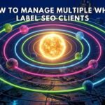 how-to-manage-multiple-white-label-seo-clients